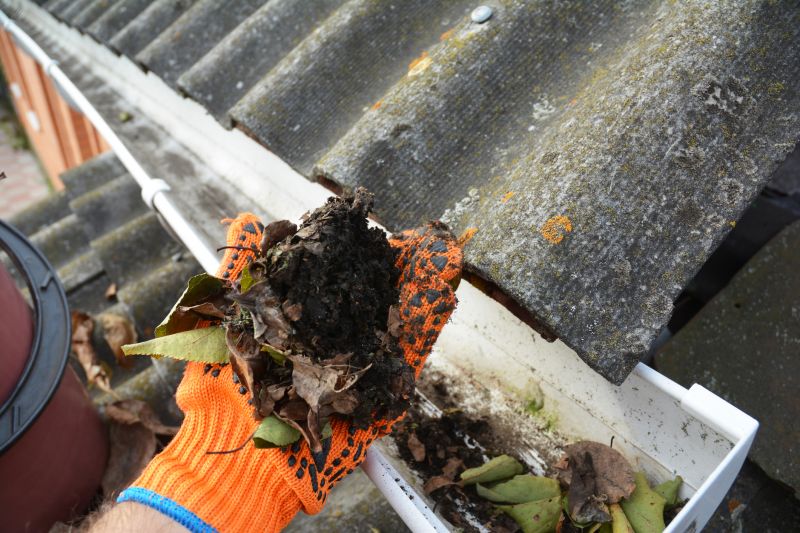 Commercial Gutter Cleaning in Denver, CO