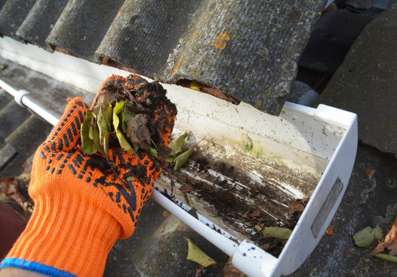 Garage Gutter Cleaning in Arvada, CO