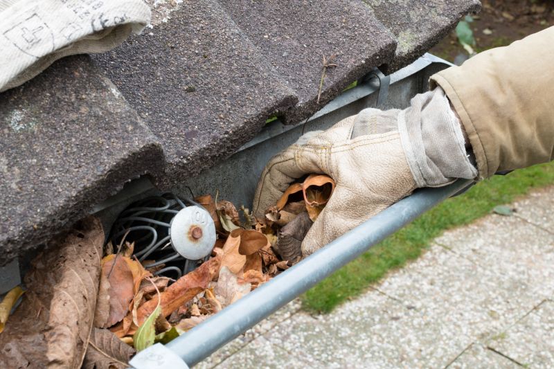 Gutter Leaf Clearing in Longmont, CO