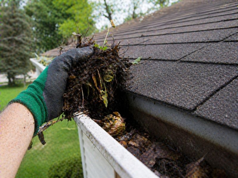 Gutter Leaf Clearing in Fredericksburg, VA