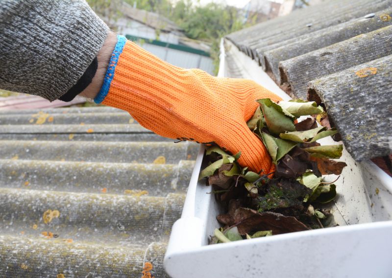 Gutter Pine Needle Removal in Rochester, NY