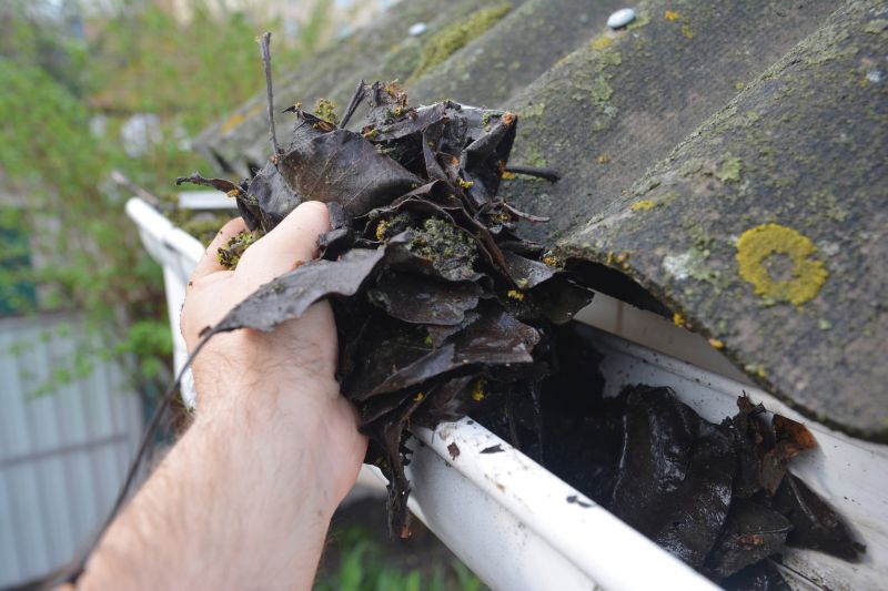 Rain Gutter Clearing in Richmond, VA