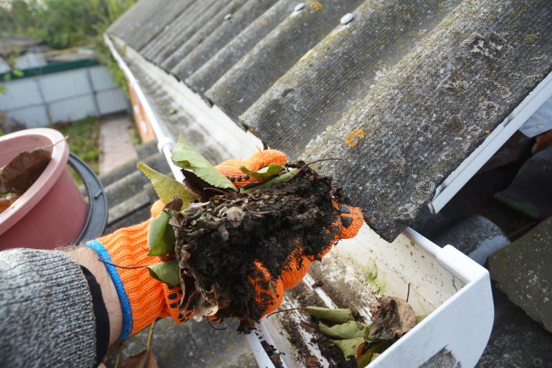 Roof Gutter Cleaning in Longmont, CO
